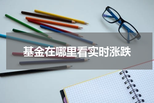 基金在哪里看实时涨跌
