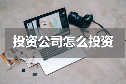 投资公司怎么投资