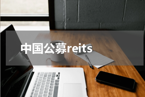 中国公募reits