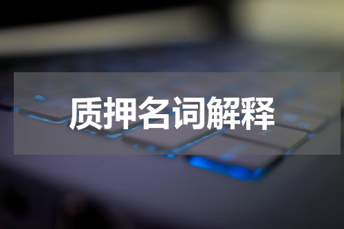 质押名词解释