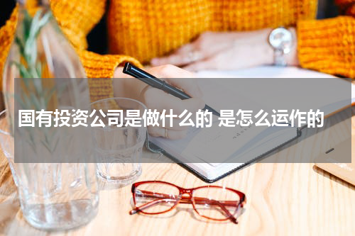 国有投资公司是做什么的 是怎么运作的