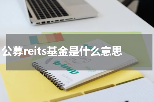 公募reits基金是什么意思