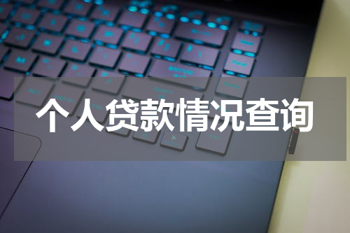 个人贷款情况查询