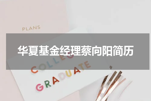 华夏基金经理蔡向阳简历