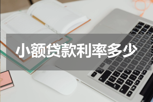 小额贷款利率多少