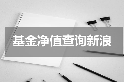 基金净值查询新浪