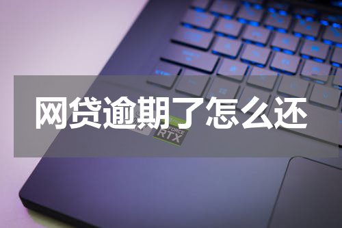 网贷逾期了怎么还