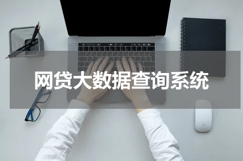 网贷大数据查询系统