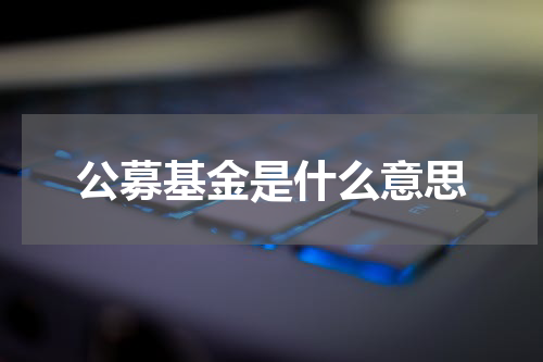 公募基金是什么意思