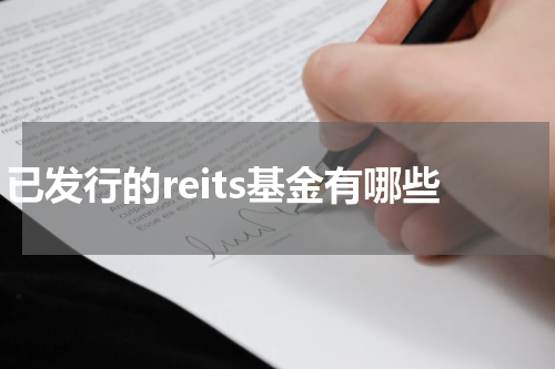 已发行的reits基金有哪些