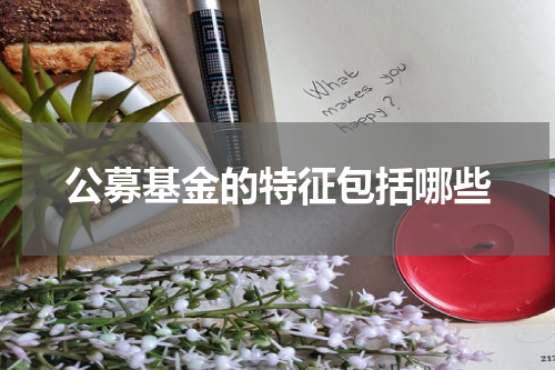 公募基金的特征包括哪些