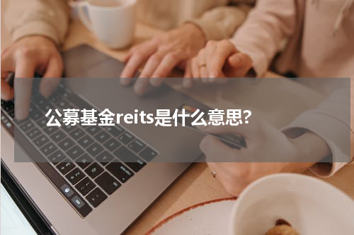 公募基金reits是什么意思?