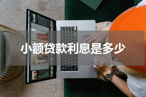 小额贷款利息是多少