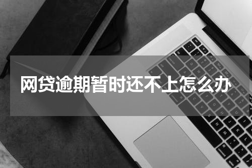 网贷逾期暂时还不上怎么办
