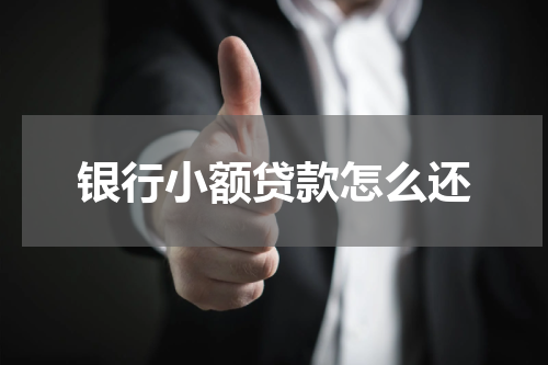 银行小额贷款怎么还