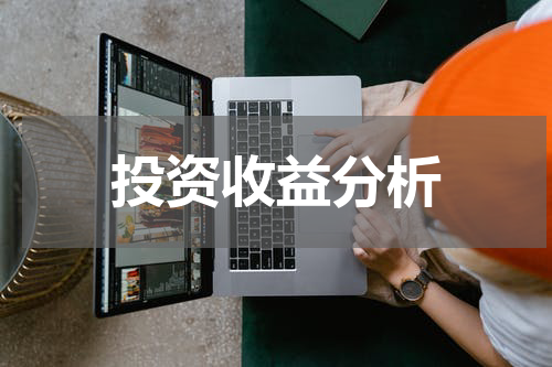 投资收益分析
