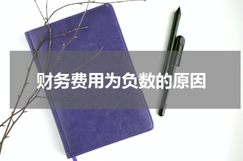财务费用为负数的原因