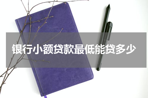 银行小额贷款最低能贷多少