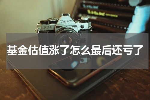 基金估值涨了怎么最后还亏了