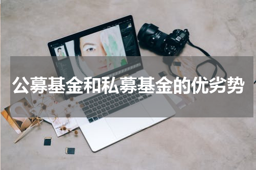 公募基金和私募基金的优劣势