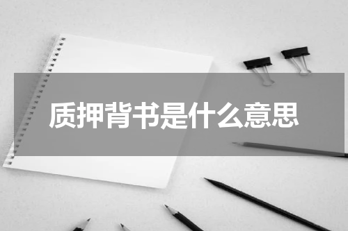 质押背书是什么意思