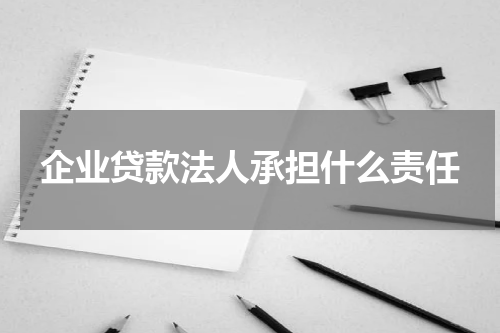 企业贷款法人承担什么责任
