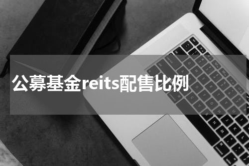 公募基金reits配售比例