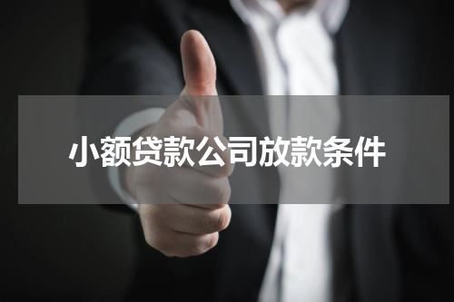 小额贷款公司放款条件