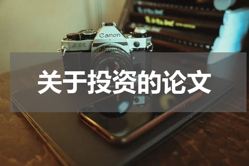 关于投资的论文