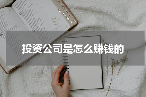投资公司是怎么赚钱的
