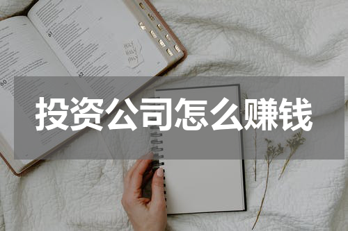 投资公司怎么赚钱