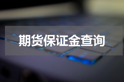 期货保证金查询