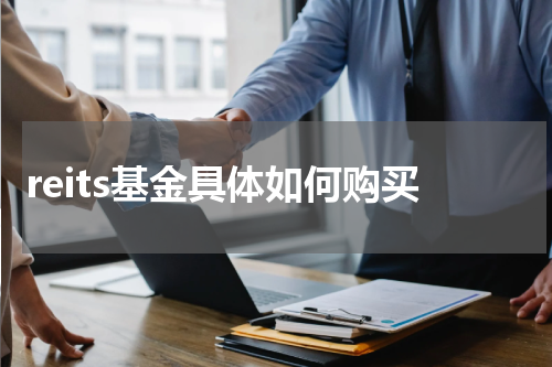 reits基金具体如何购买