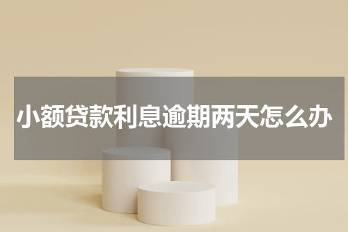 小额贷款利息逾期两天怎么办