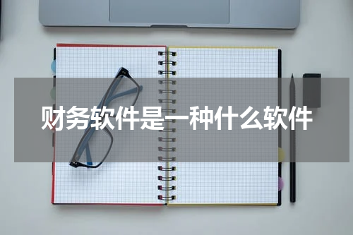 财务软件是一种什么软件