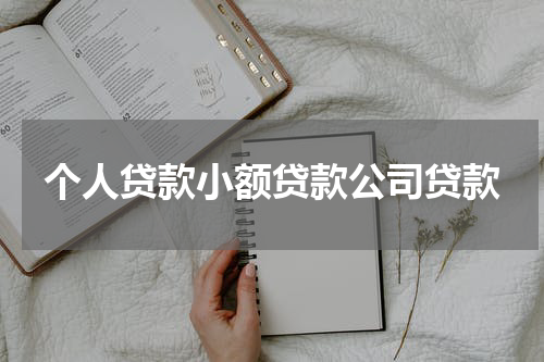 个人贷款小额贷款公司贷款