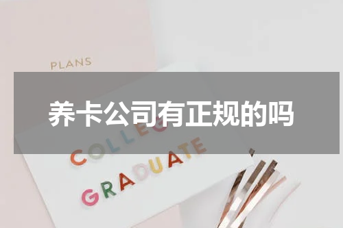 养卡公司有正规的吗