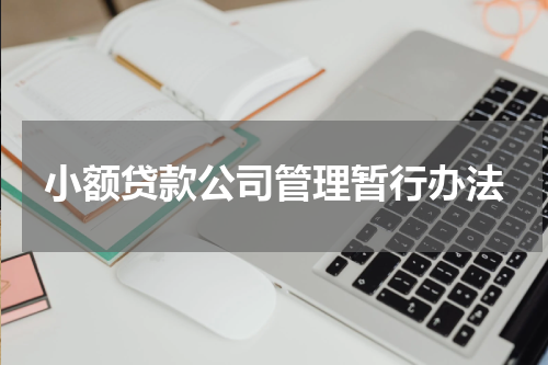 小额贷款公司管理暂行办法