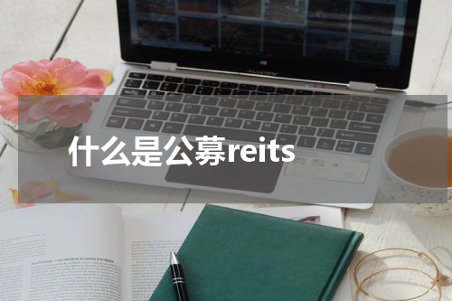 什么是公募reits