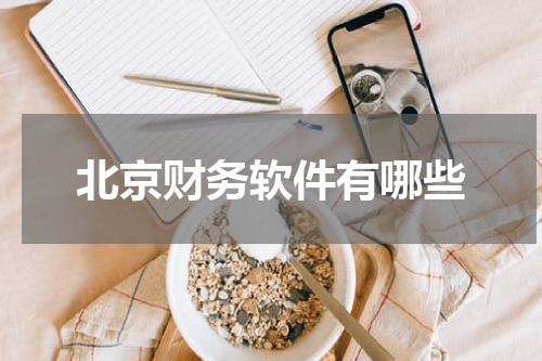 北京财务软件有哪些