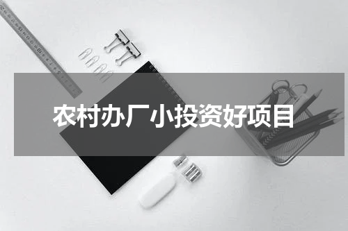 农村办厂小投资好项目