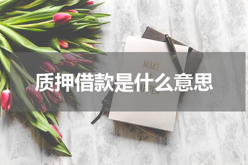 质押借款是什么意思