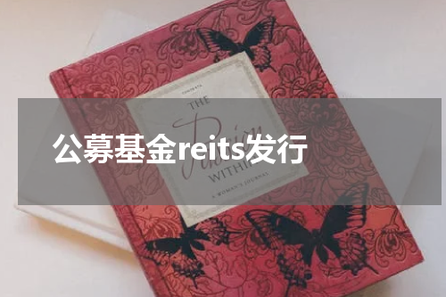 公募基金reits发行