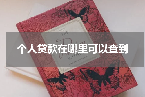 个人贷款在哪里可以查到