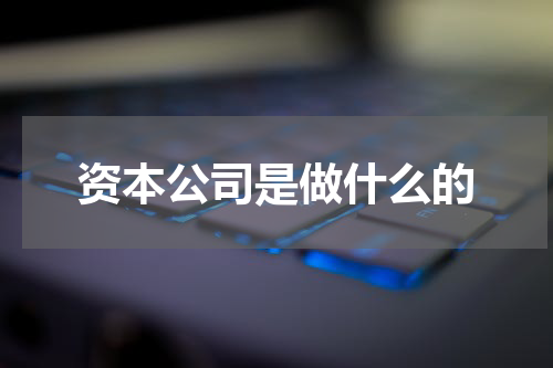 资本公司是做什么的