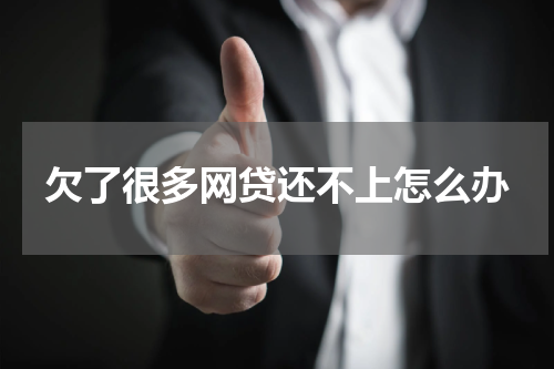 欠了很多网贷还不上怎么办