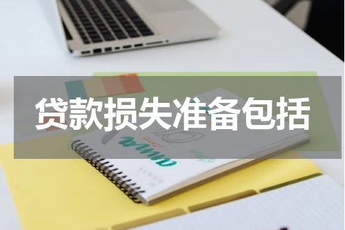 贷款损失准备包括