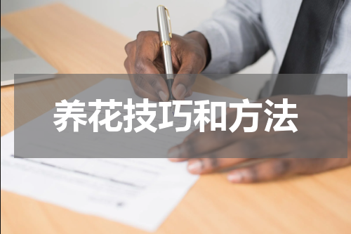 养花技巧和方法
