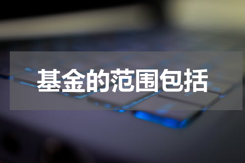 基金的范围包括