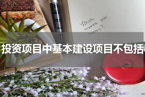 投资项目中基本建设项目不包括